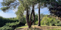 maison à ARCANGUES (64200)