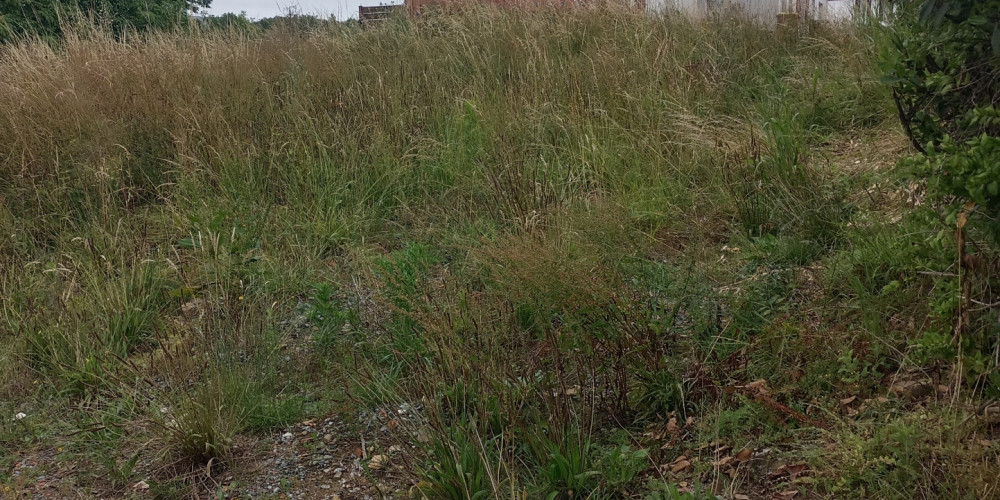 terrain à URRUGNE (64122)