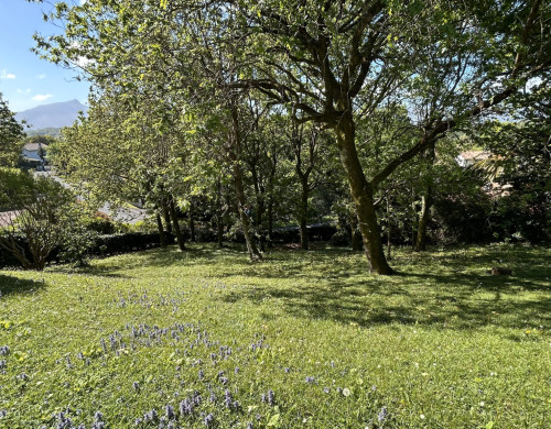 maison  CIBOURE