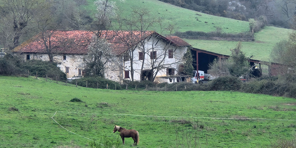 maison à ST MARTIN D ARBEROUE (64640)