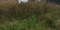 terrain à URRUGNE (64122)