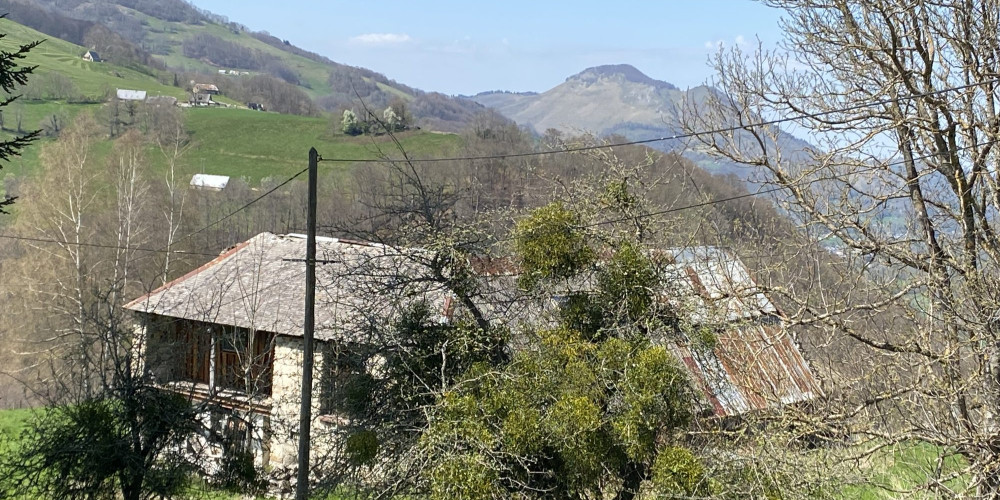 maison à CAMPAN (65710)