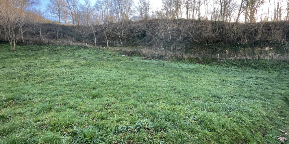 terrain à ST MICHEL (64220)