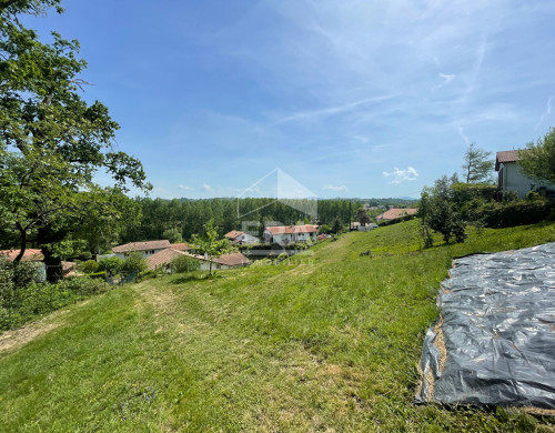 terrain  BRISCOUS