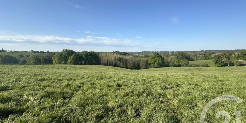 terrain à BONNUT (64300)