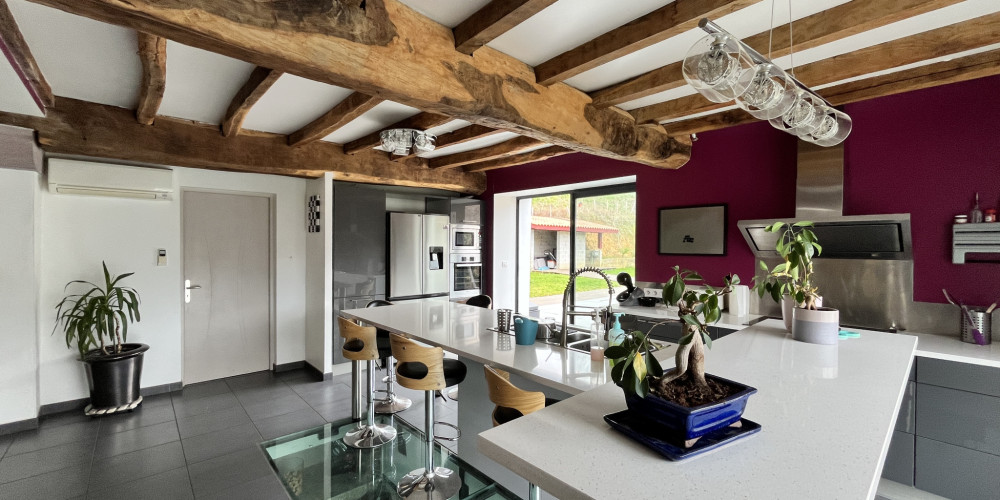 maison à ST MARTIN D ARROSSA (64780)