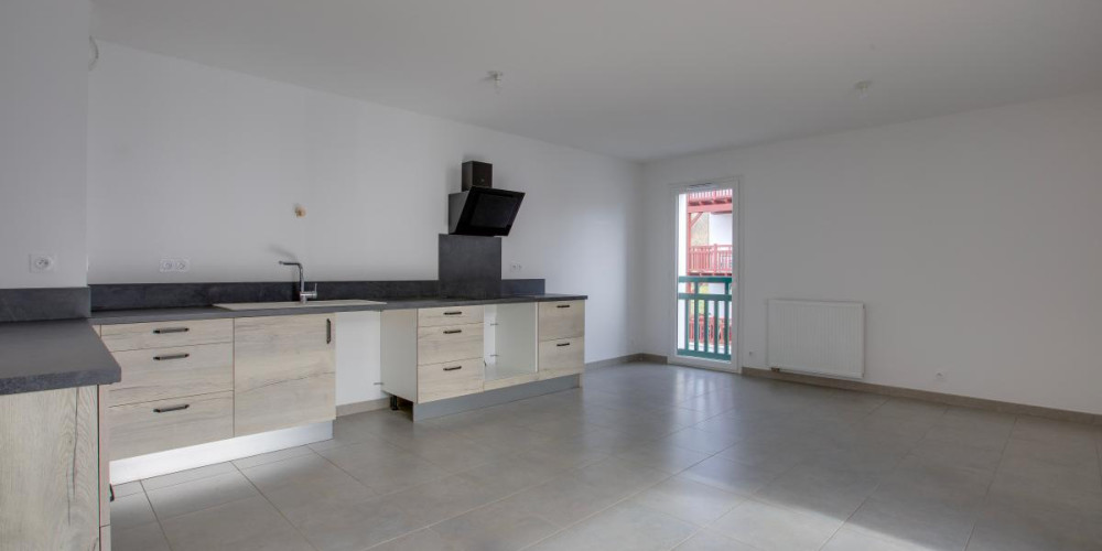 appartement à ST PEE SUR NIVELLE (64310)