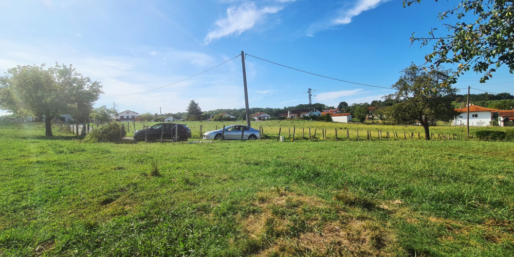 terrain à BRISCOUS (64240)