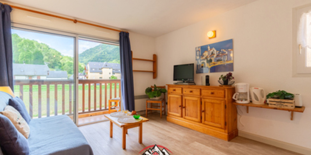 appartement à ST LARY SOULAN (65170)