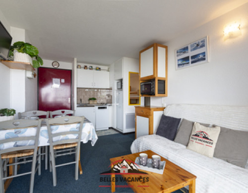 appartement  ST LARY SOULAN