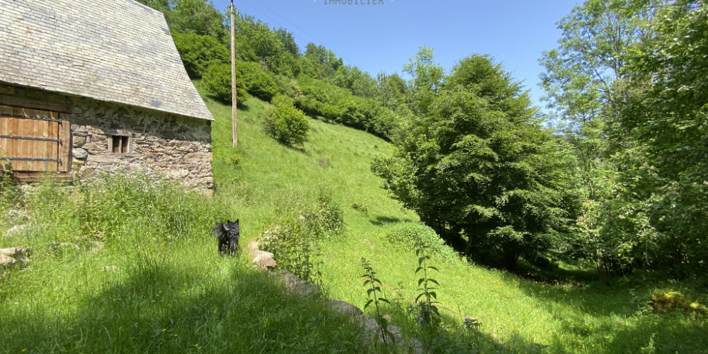 maison à BEYREDE JUMET (65410)