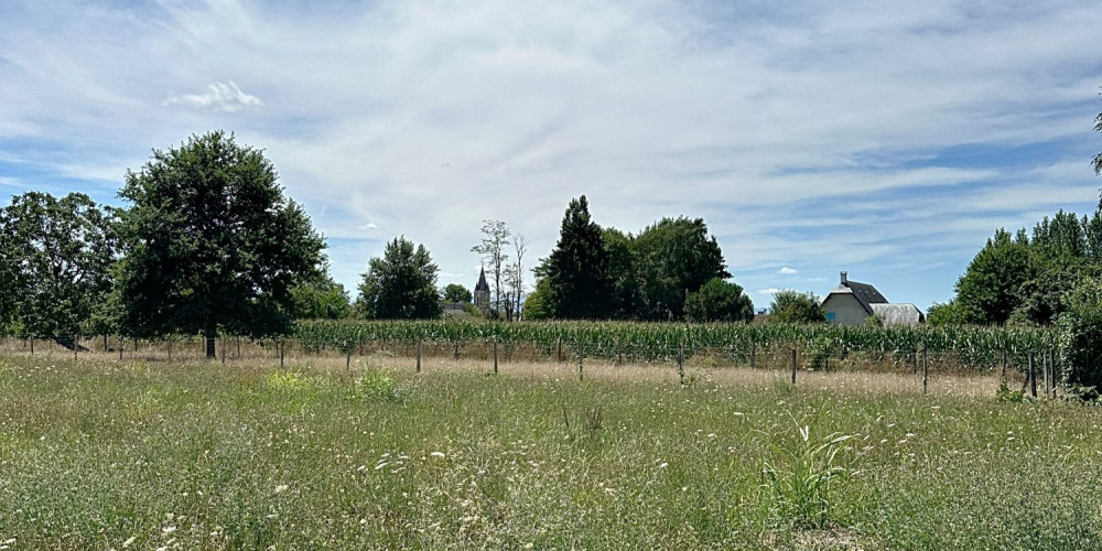 terrain à LALOUBERE (65310)