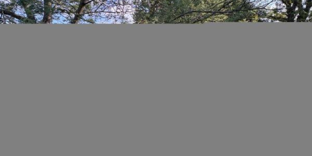 terrain à HALSOU (64480)