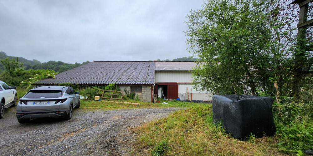 maison à ST MARTIN D ARBEROUE (64640)