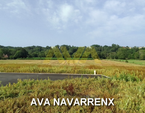 terrain  ARAUJUZON