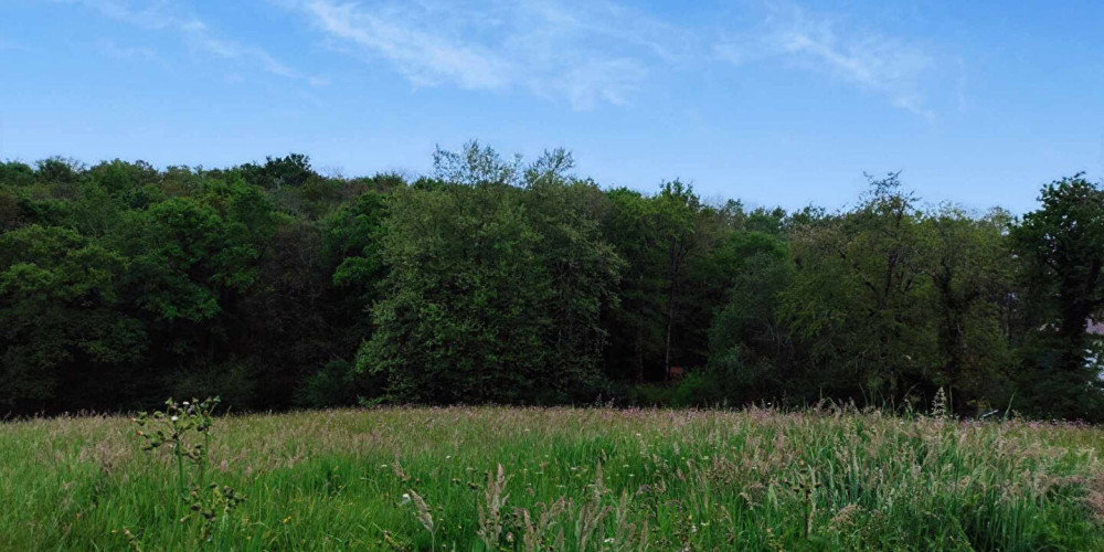 terrain à URCUIT (64990)