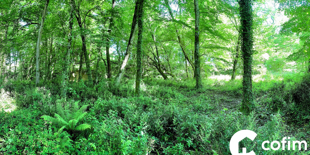 terrain à CASTETIS (64300)