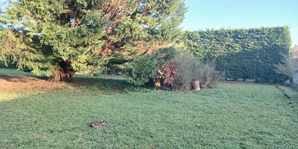 terrain à ST PEE SUR NIVELLE (64310)