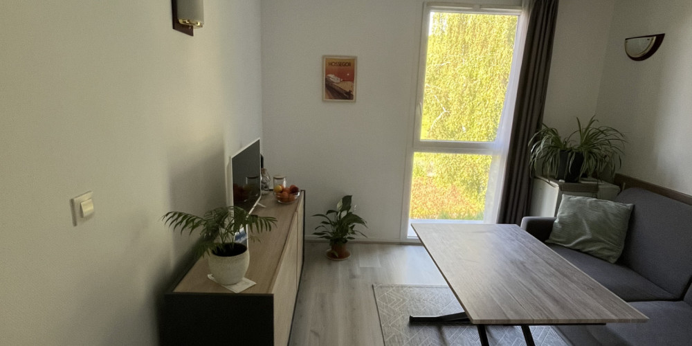 appartement à IDRON (64320)