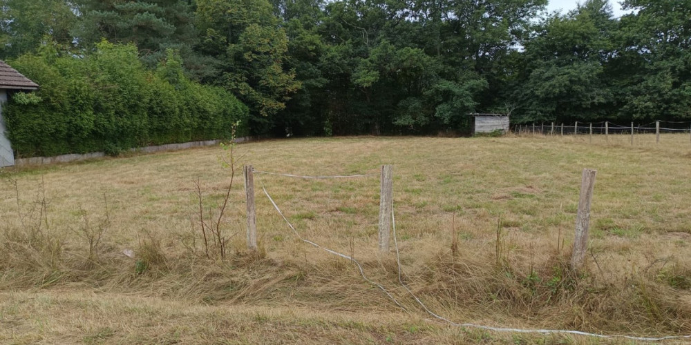 terrain à ST LAURENT DE NESTE (65150)
