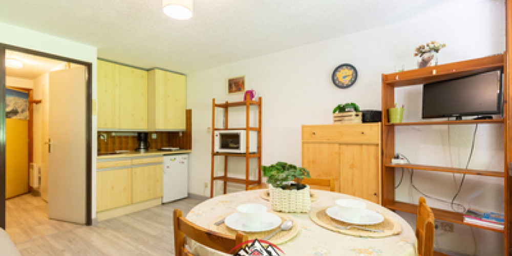 appartement à ST LARY SOULAN (65170)