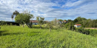 terrain à ST PIERRE D IRUBE (64990)
