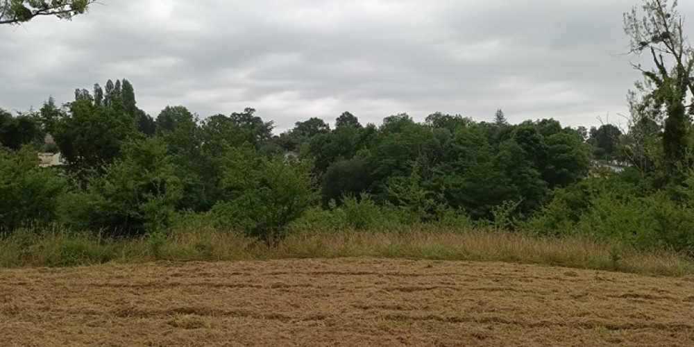 terrain à SALIES DE BEARN (64270)