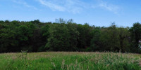terrain à URCUIT (64990)