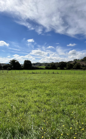 Terrain  ARMENDARITS