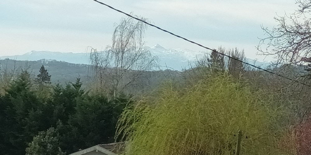 terrain à SALIES DE BEARN (64270)