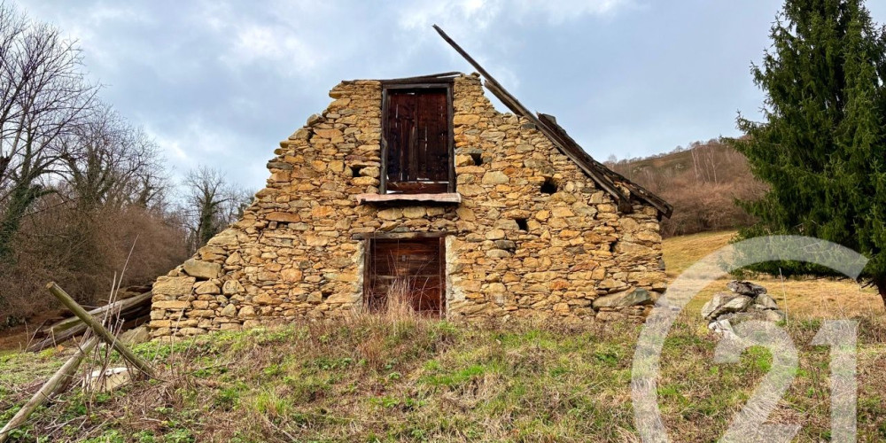 maison à ARRENS MARSOUS (65400)