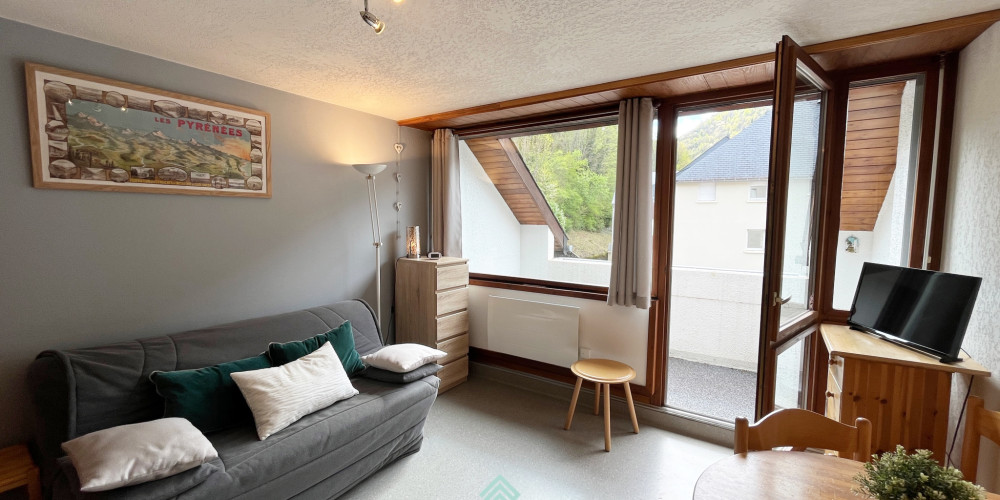 appartement à ST LARY SOULAN (65170)