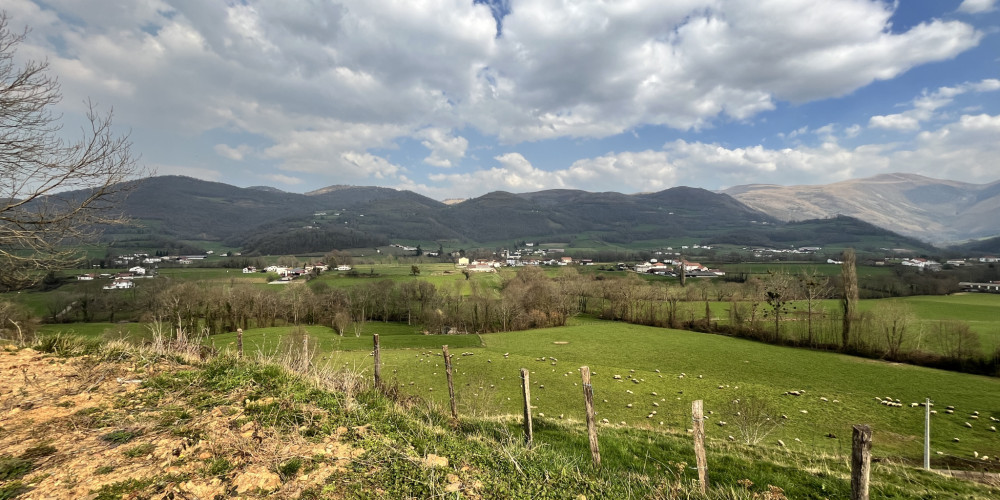 terrain à LECUMBERRY (64220)