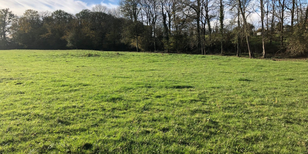 terrain à ESLOURENTIES DABAN (64420)