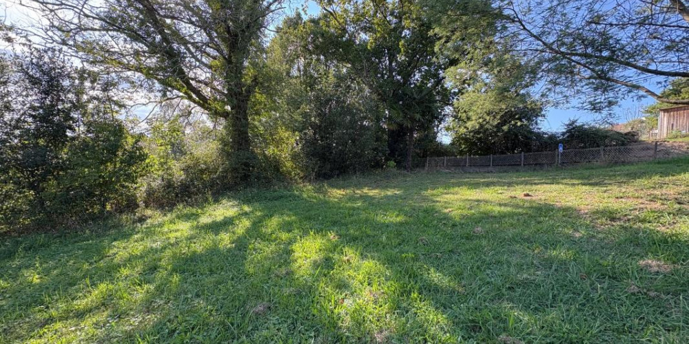 terrain à HALSOU (64480)