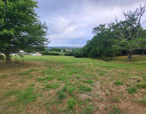 terrain  ST PIERRE D IRUBE