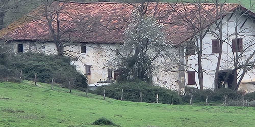 maison à ST MARTIN D ARBEROUE (64640)