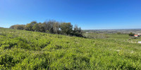 terrain à BIDACHE (64520)