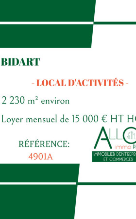 Local industriel  BIDART