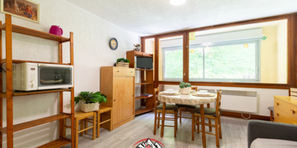 appartement à ST LARY SOULAN (65170)