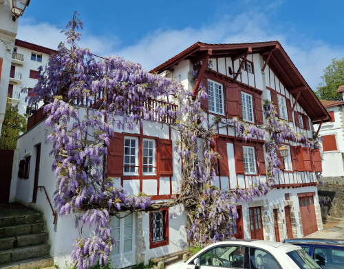 appartement  CIBOURE