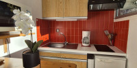 appartement à ST LARY SOULAN (65170)