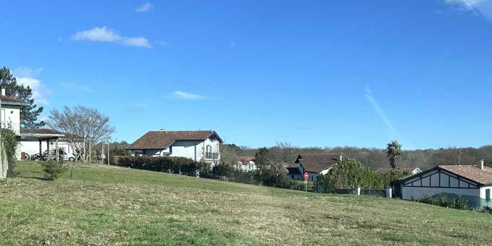 terrain à ARBONNE (64210)