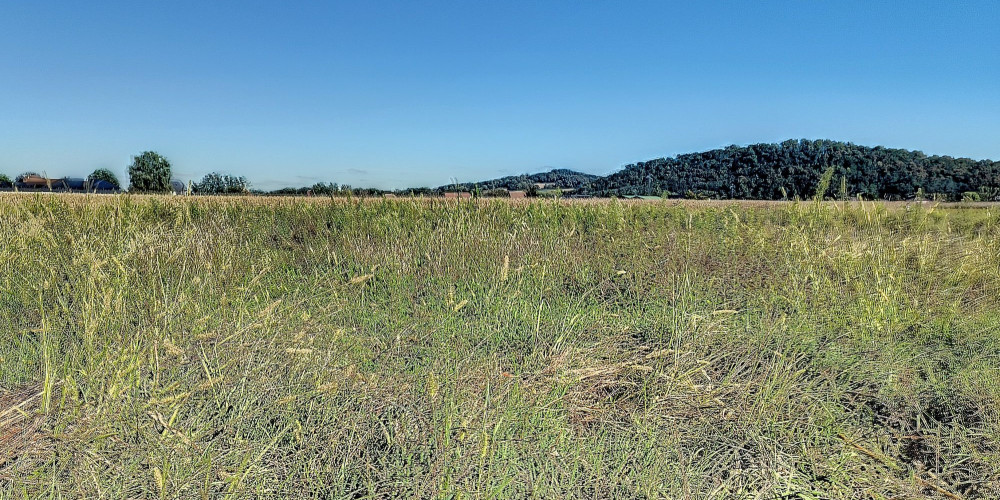 terrain à BORDES (64510)