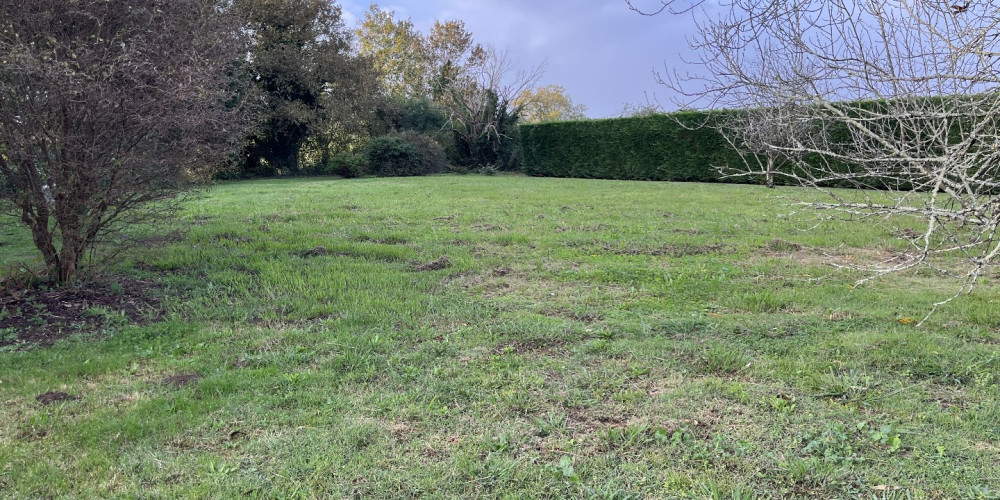 terrain à RAMOUS (64270)