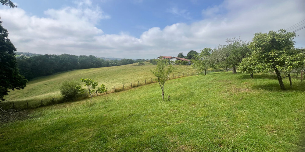 terrain à LA BASTIDE CLAIRENCE (64240)