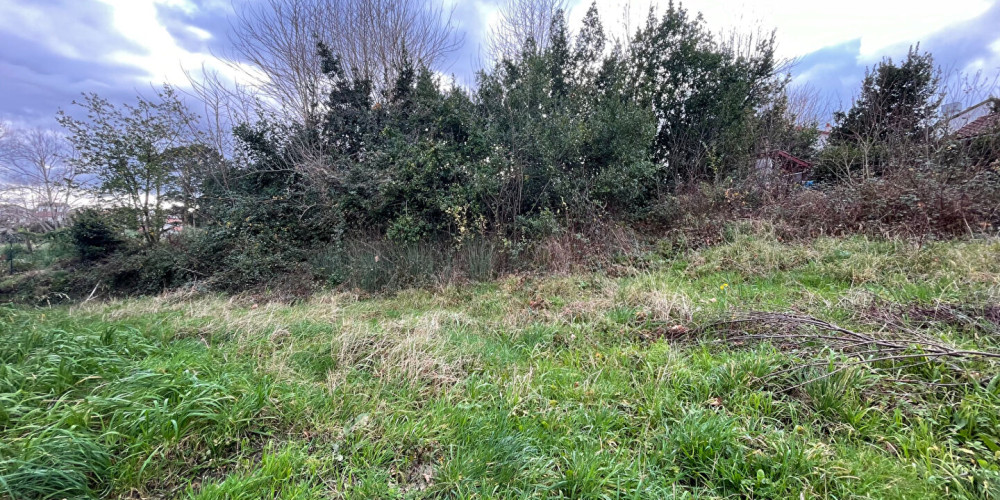 terrain à BIDART (64210)