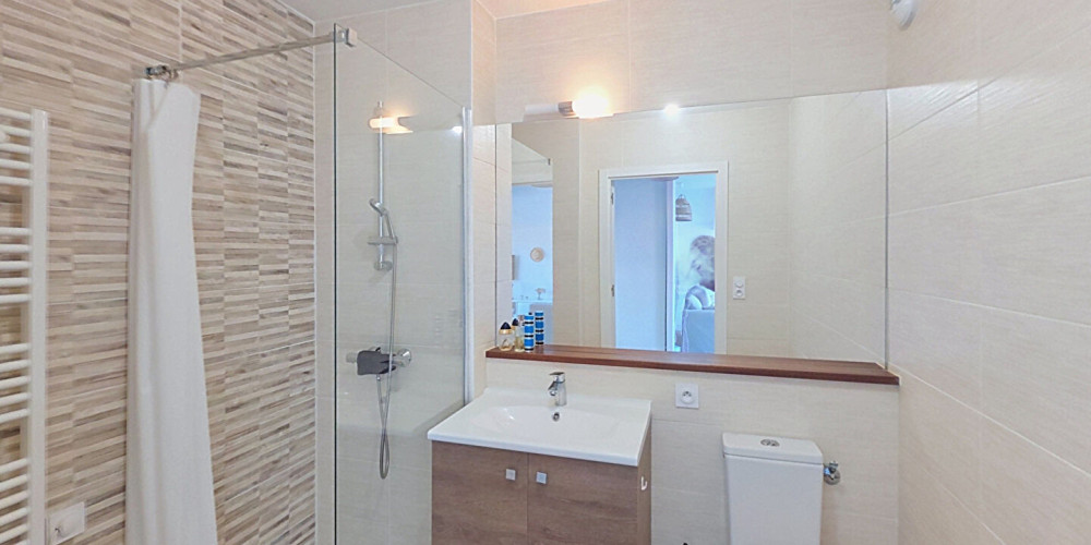 appartement à ST PIERRE D IRUBE (64990)
