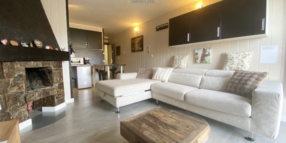 appartement à ST LARY SOULAN (65170)