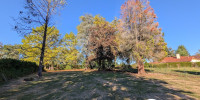 terrain à OLORON STE MARIE (64400)